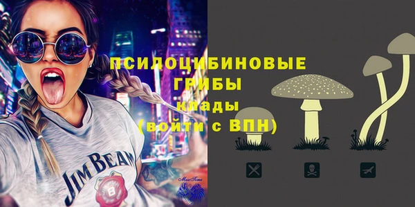 мяу мяу мука Арсеньев