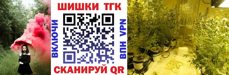 где купить   Спас-Клепики  Канабис марихуана 